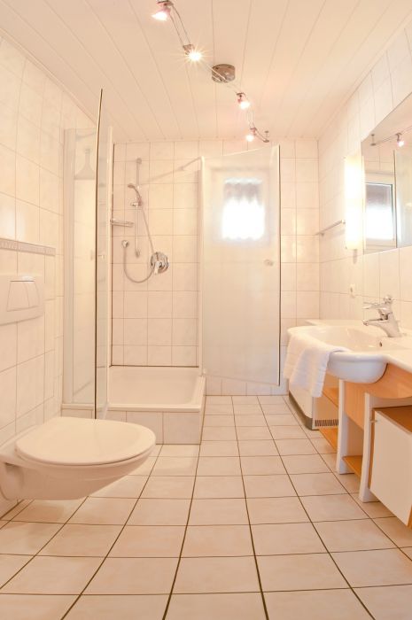 Badezimmer:Das Bad mit Dusche und WC ist neu renoviert und sehr hell 